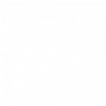 LOGOS MARK PETRIE (7)